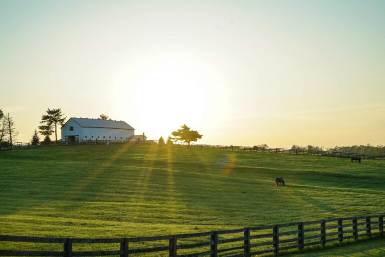 FarmSunrise 1 768x513