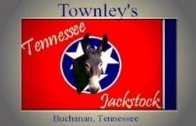 TownleyJackstock