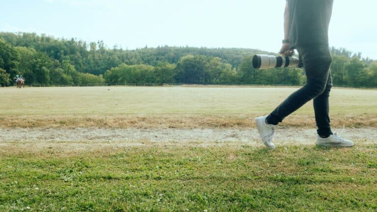 Building Your Equine Business Brand: How Small Barns Can Stand Out Online